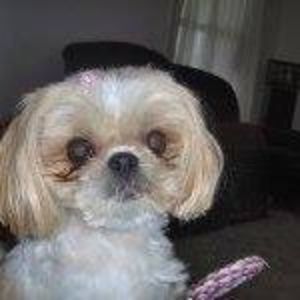 Meet your Posher, Joe